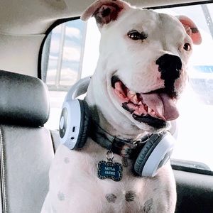 Meet your Posher, Elliette